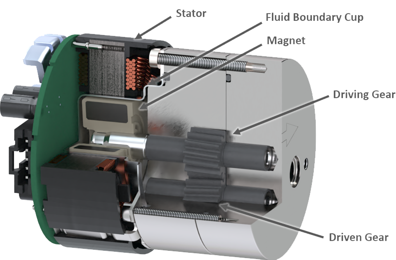 gear pump cutaway